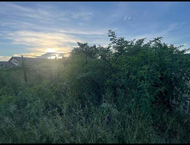 0 BEDROOM HOUSE FOR SALE IN MANKWENG